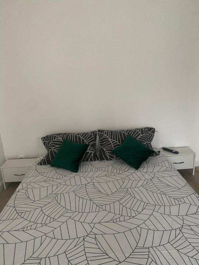 Târgu-Mureş L&M Apartment מראה חיצוני תמונה