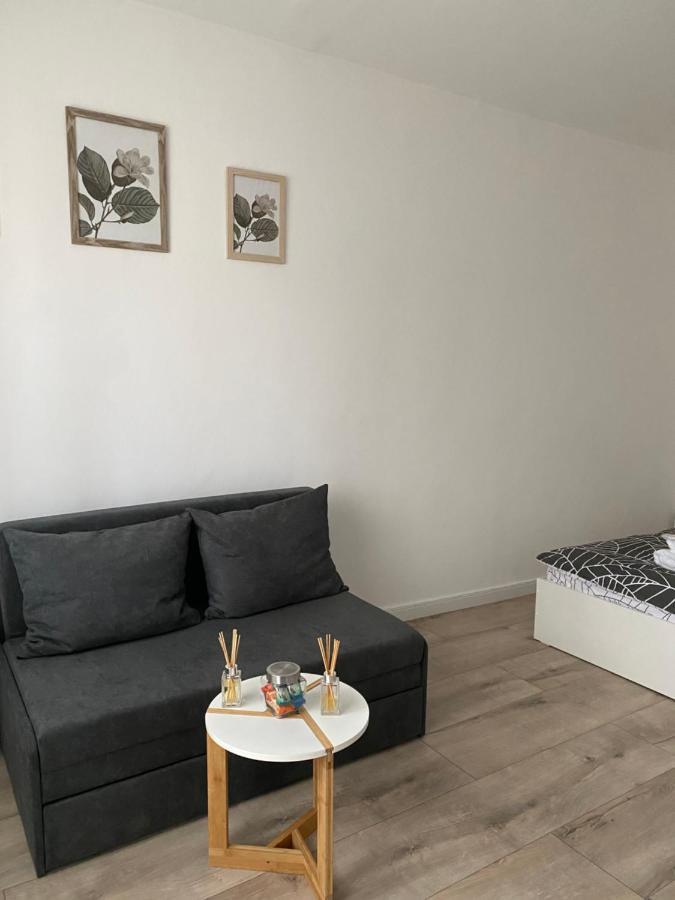 Târgu-Mureş L&M Apartment מראה חיצוני תמונה